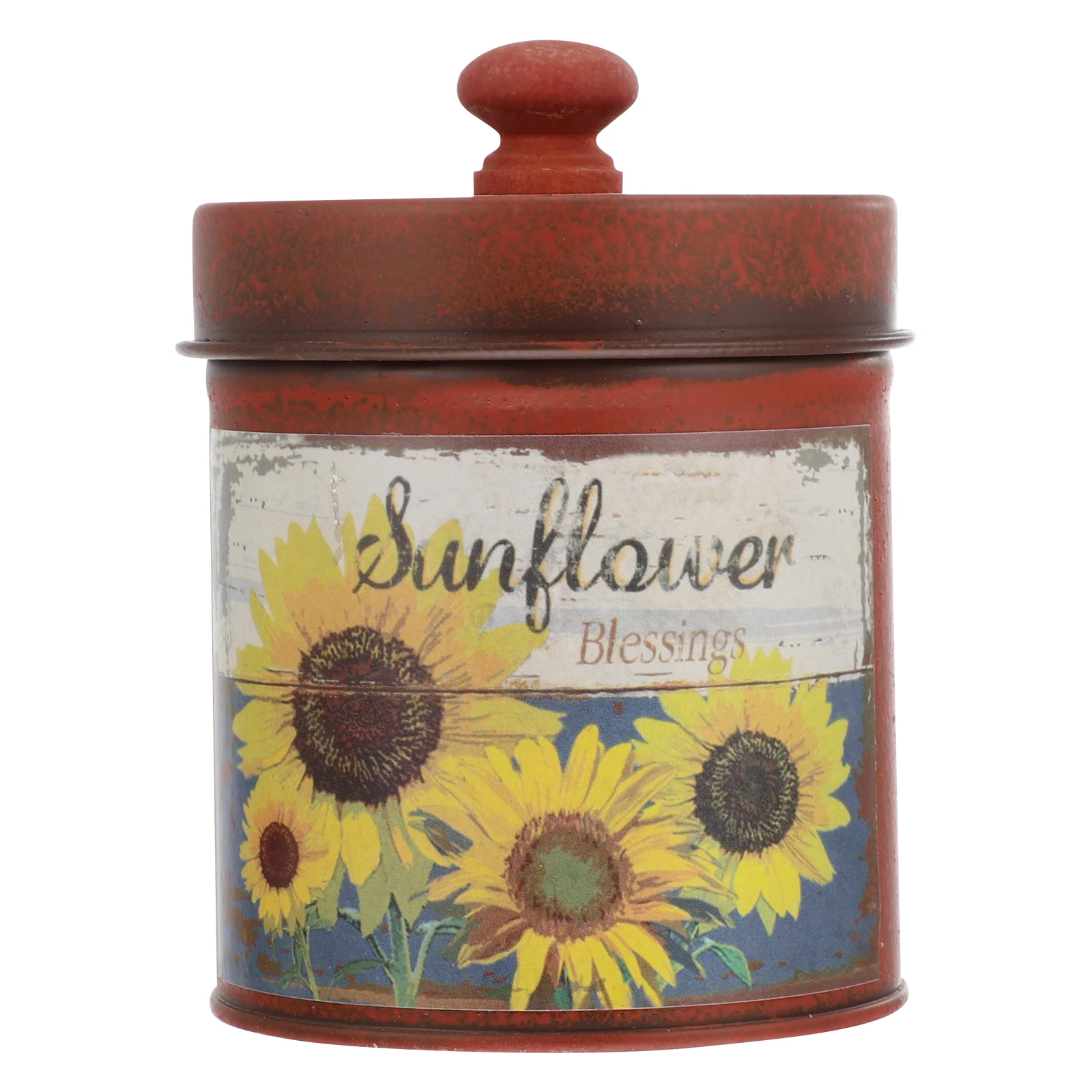 

Canisters Metal Rustic Farmhouse Vase Flower Galvanized Kitchen Bucket Storage Jar Canister Pot Lids Planter Containers