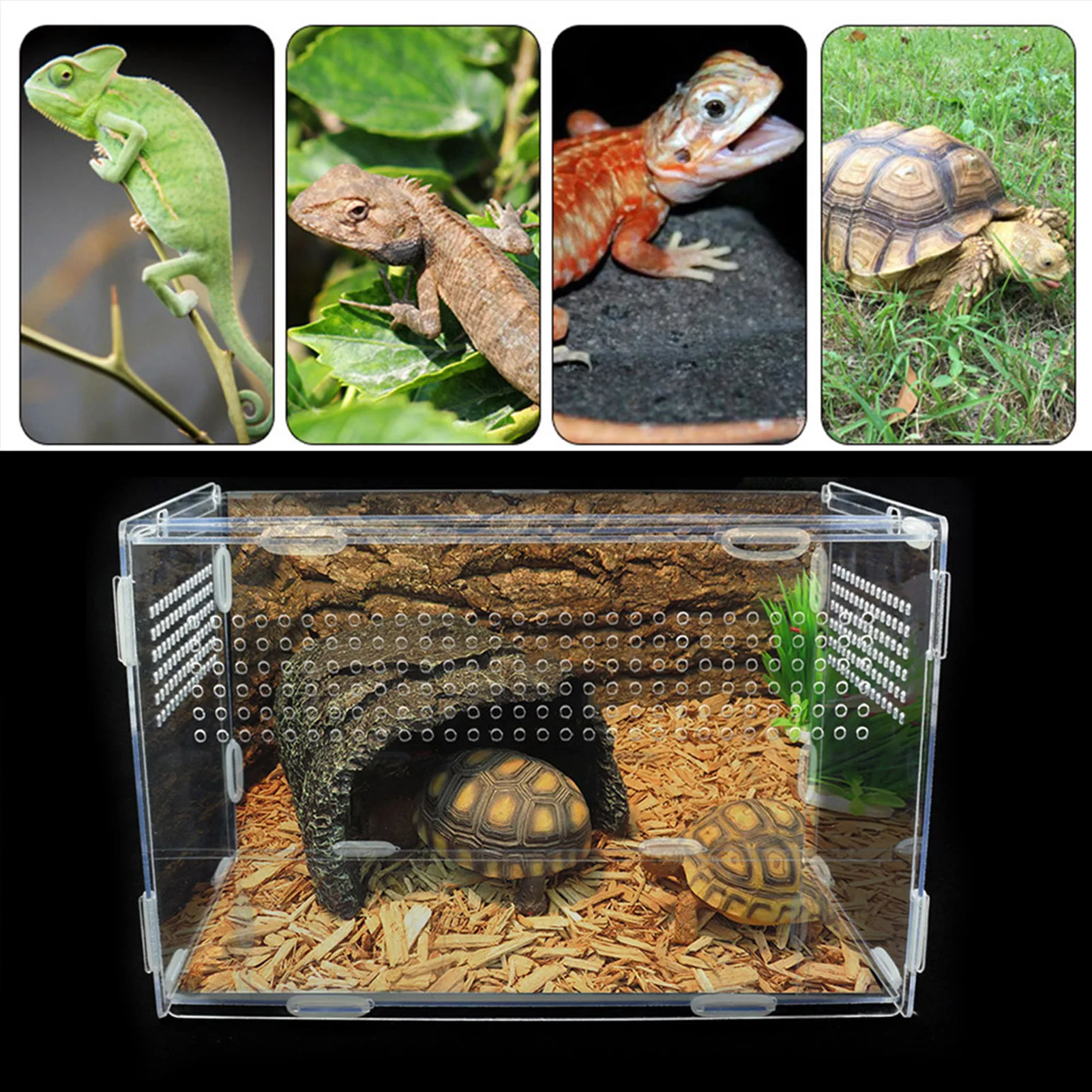 

Transparent Reptile Breeding Box Acrylic Spider Lizard Scorpion Enti's Acrylic Assembled Insect Breathable Terrarium