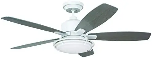 

Kathy, Ирландия, Домашний Светильник для потолка в виде клетки, искусственный потолочный вентилятор | 54-дюймовый наружный светильник с настенным переключателем и 5-дюймовым метеостанцией