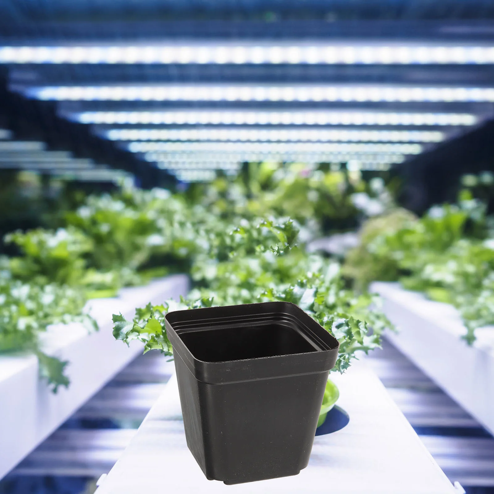 

120 Pcs Small Pot Plastic Pots Planter Planting Containers Succulents Supplies Square Plants Nursery