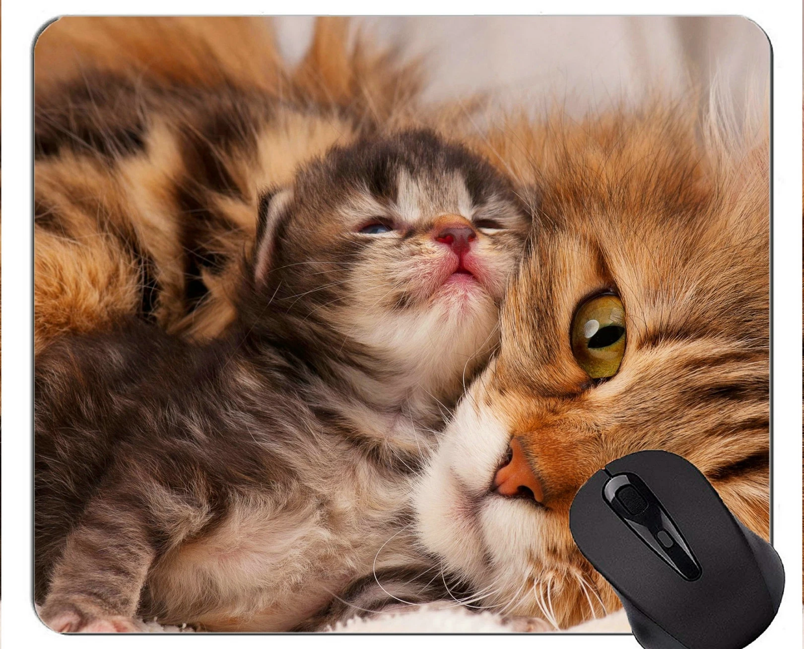 Коврик для мыши со встроенной картинкой милая кошка с изображением котят дома и