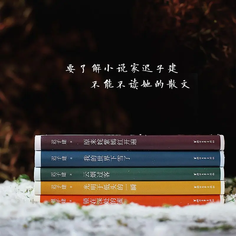 Рисунок 3 - Книга китайской литературы Chi Zijian prose