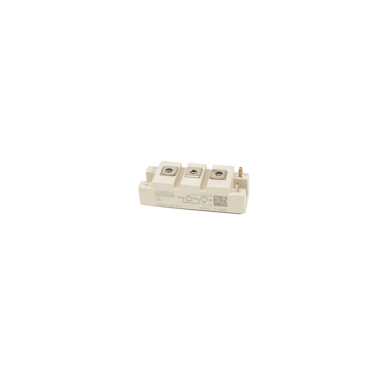 

SKM100GB12T4