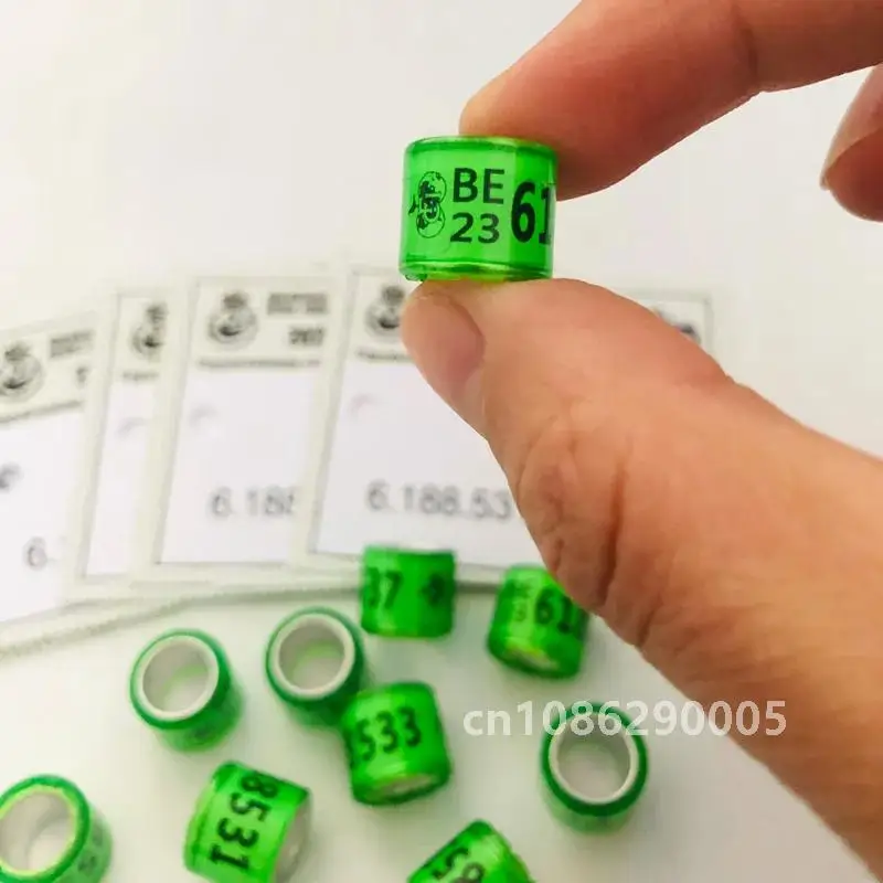 20 шт. 2024 РЕМЕНЬ Голубиные кольца с буквами и карточками Птица 8 мм