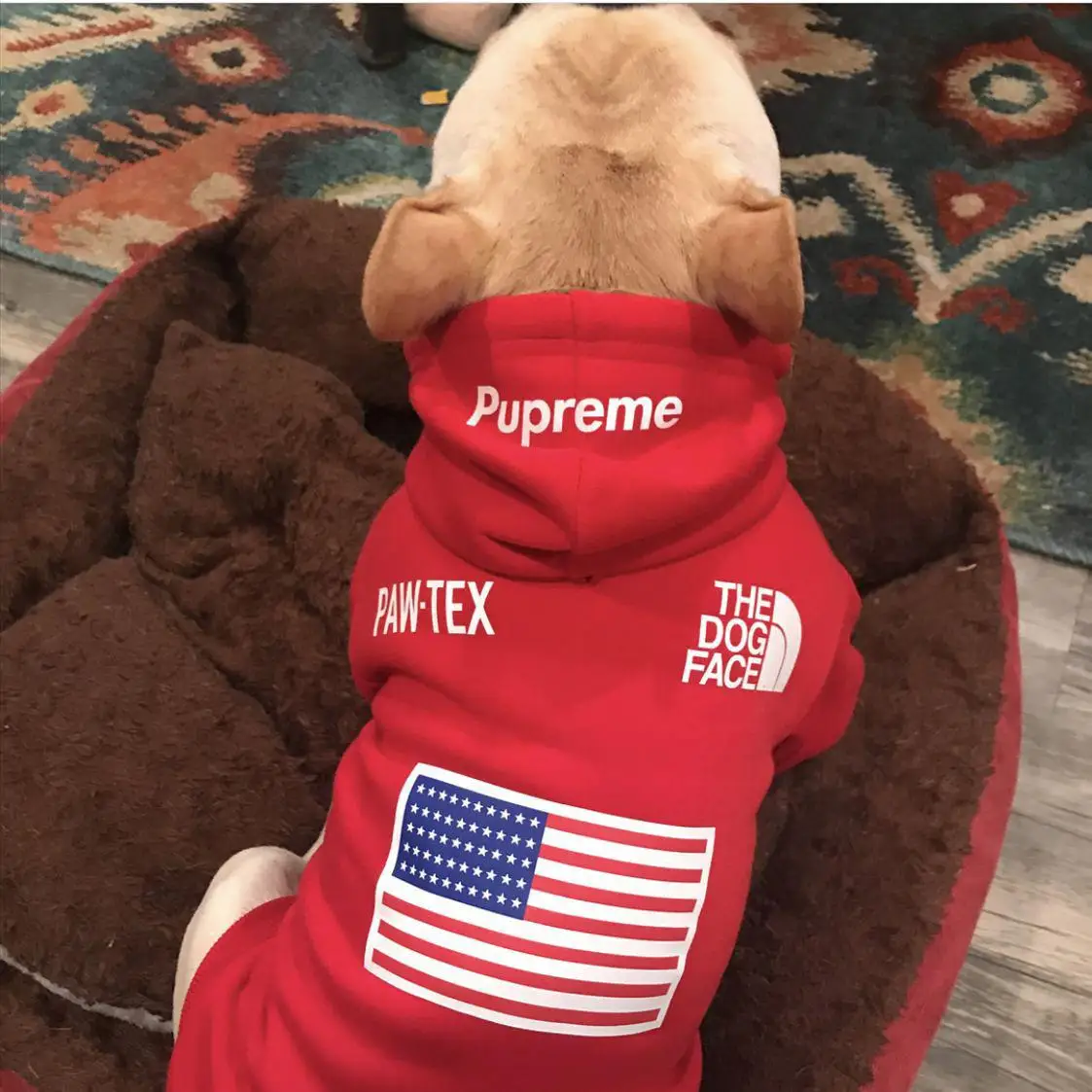 

Designer Winter Pet Dog Sweatshirt Clothes for Small Medium Dogs,Warm Fleece Dog Jacket,Chihuahua French Bulldog Jacket