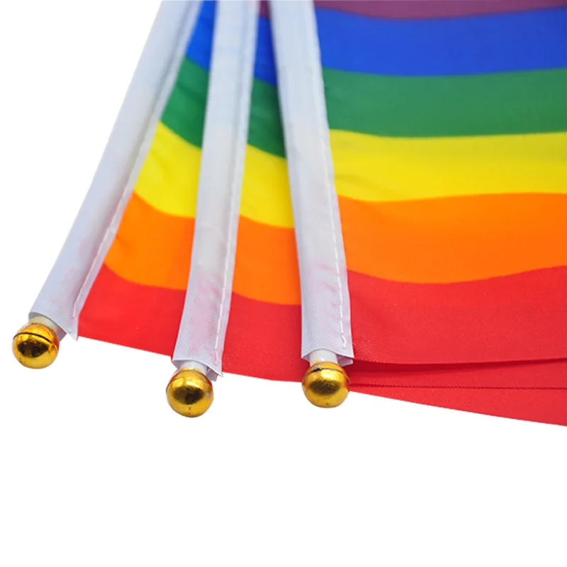 14X21cm Holding Rainbow Flag LGBT Hand Waving Gay Pride Festive Home Decor Party |