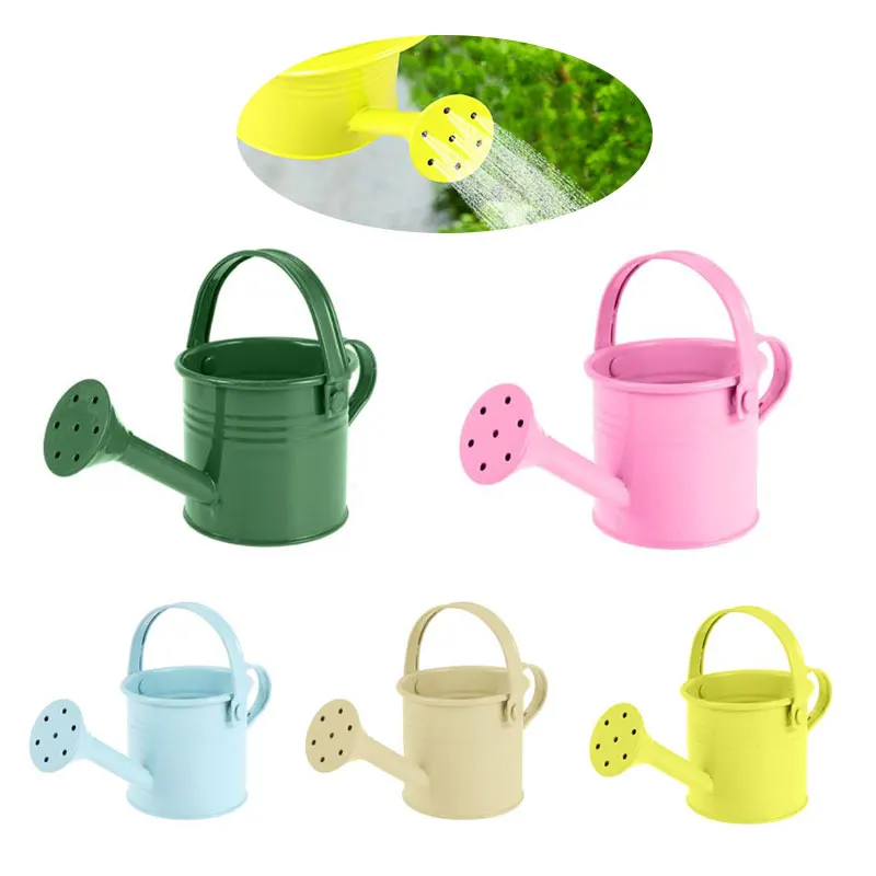 

1pc Mini Sprinkler Home Garden Indoor Vintage Flower Metal Watering Iron Pott