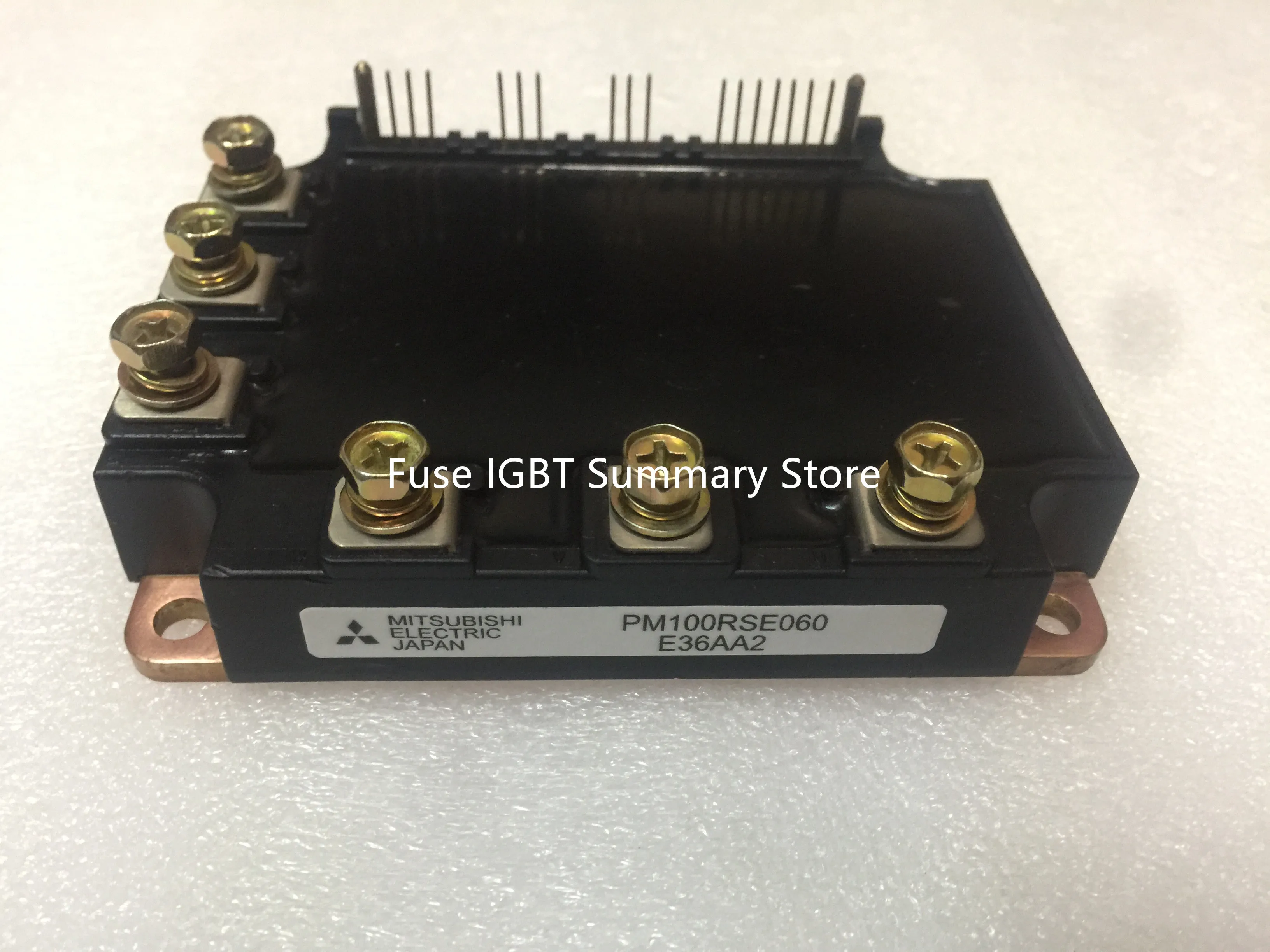 PM100RSE060 PM100RSA060