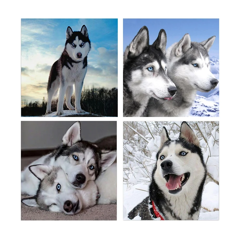 Набор для алмазной вышивки «волк», «Собака»