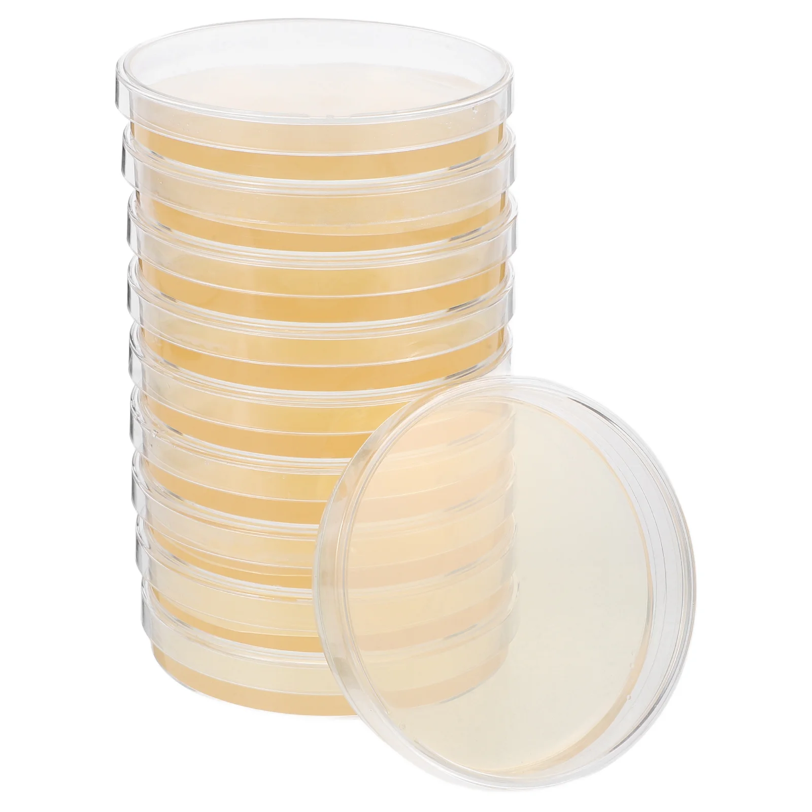 10 шт. биологическое оборудование для определения Agar Plate готовые пластины