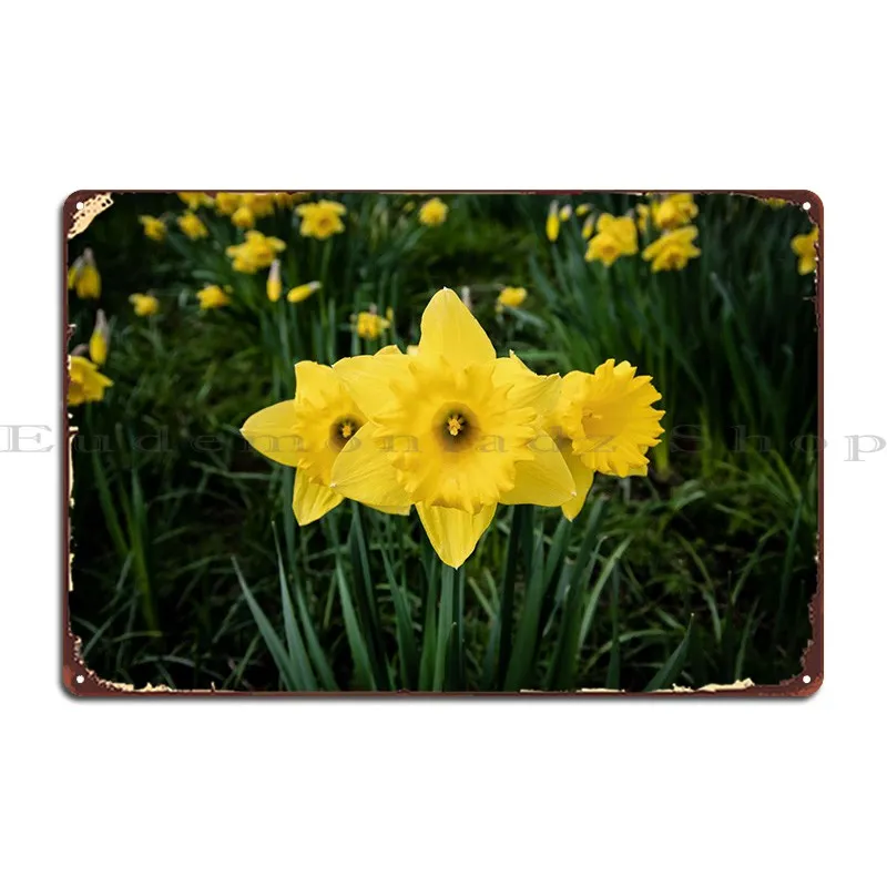 

Цветок Daffodil, № 13, металлическая табличка, настенная пещера, печатный фотографический знак, плакат