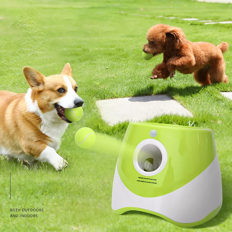 Автоматическая пусковая установка для бросания мячей в виде сетки собак