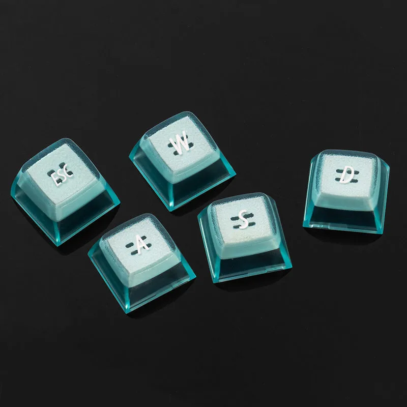 

Gamer SA Profile Keycap Mechanical Keyboard ABS Cap Backlight ESC WASD Arrow Transmit Light Dye-subbed Two Color 1U DIY Key Cap