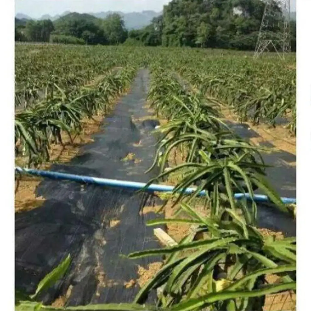 Черный барьер для сорняков Ландшафтная ткань с сетчатыми полосками x 1 метр