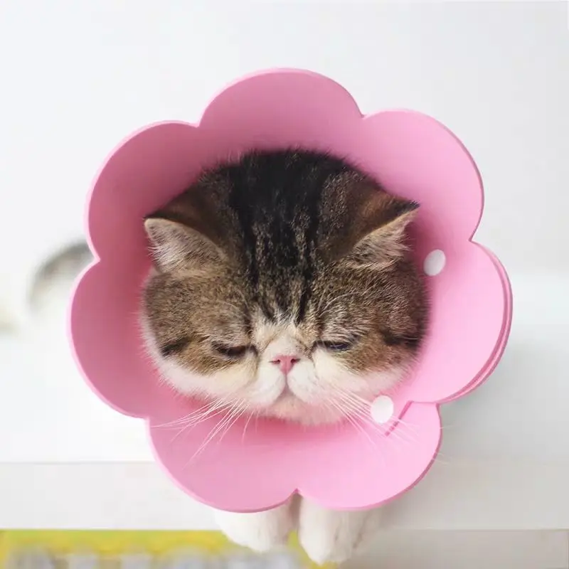 

2pcs/set Pet Supplies Anti-bite Lick Felt Dog Cat Collar Elizabeth Circle Cat Sun Flower Collar
