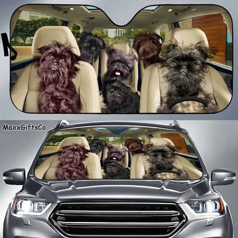 

Автомобильный солнцезащитный козырек Affenpinscher, семейный козырек для собак на ветровое стекло, автомобильные аксессуары для собак, украшение автомобиля, подарок для любимых собак