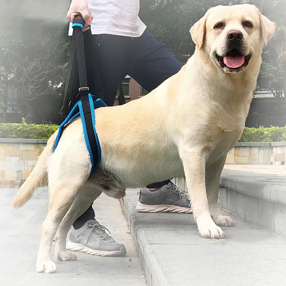 

Adjustable Pet Dog Sling Lift Harness Leg Brace Hind Leg Help Walking Dogs Pets Balance Harness Auxiliary Belt Strap for Dogs