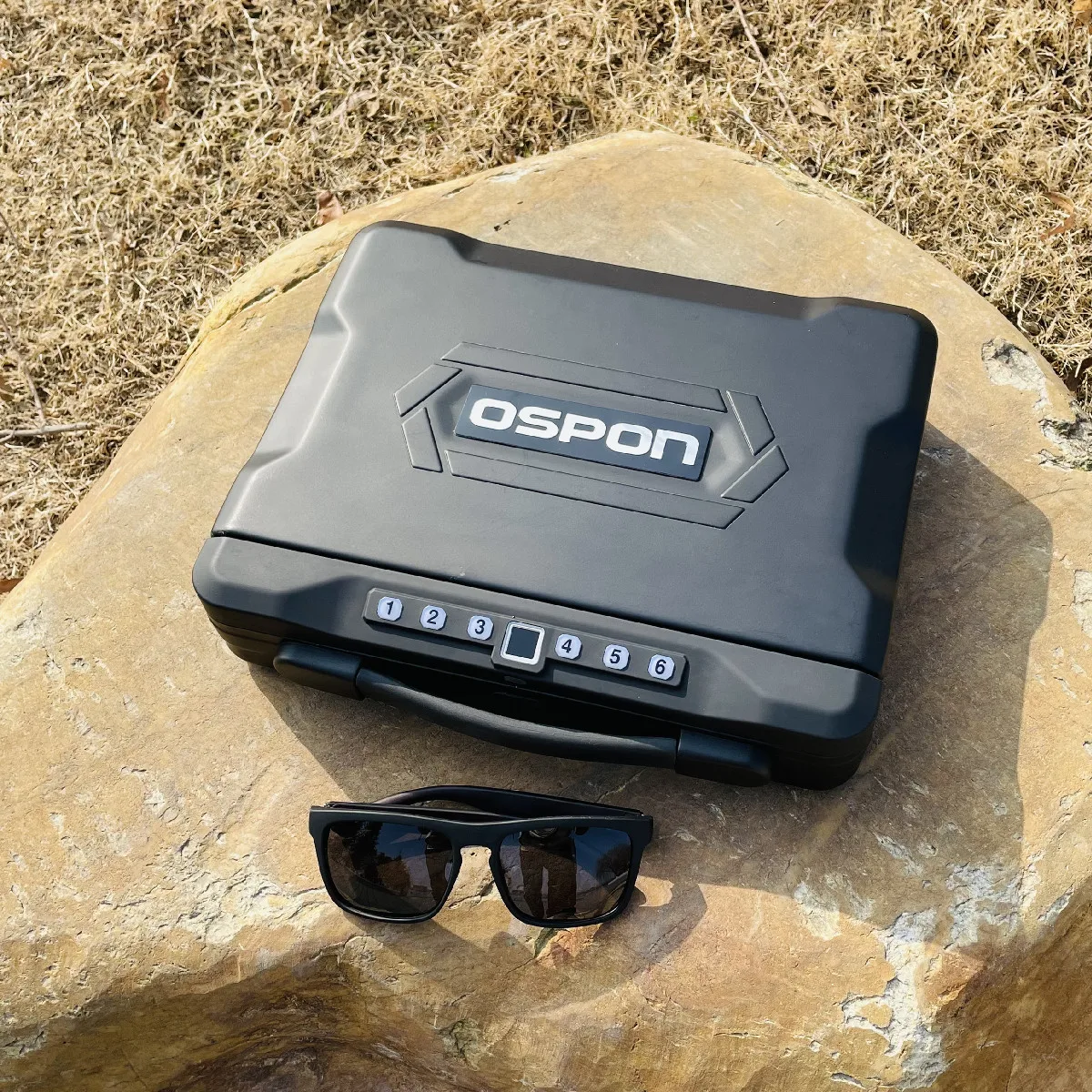 Рисунок 2 - Стандартная коробка с паролем