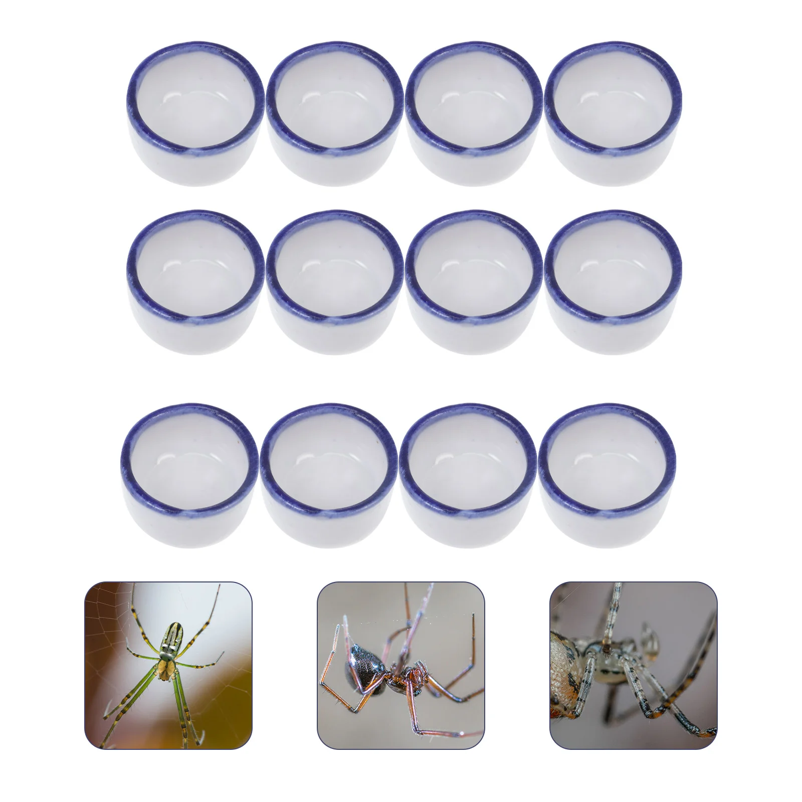 

Reptile Water Ceramic Dish Mini Bowl Sink Small Accessoriesbowls Basin Tank Spiders Feeder Container Drinking Bug