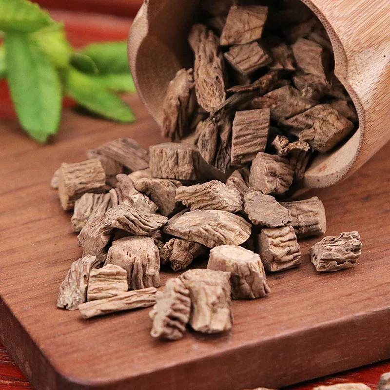 

Dipsaci Radix Chuanduan Himalayan Teasel Xuduan