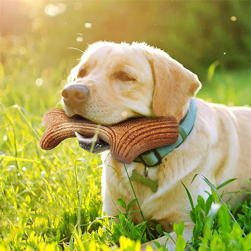 

GiGwi Dog Chew Toy Real Wood Powder PP Dog Interactive Toy Tree Branch Dog Dental Chews Stick Pet Chewing Toys Bone Dogs Gift