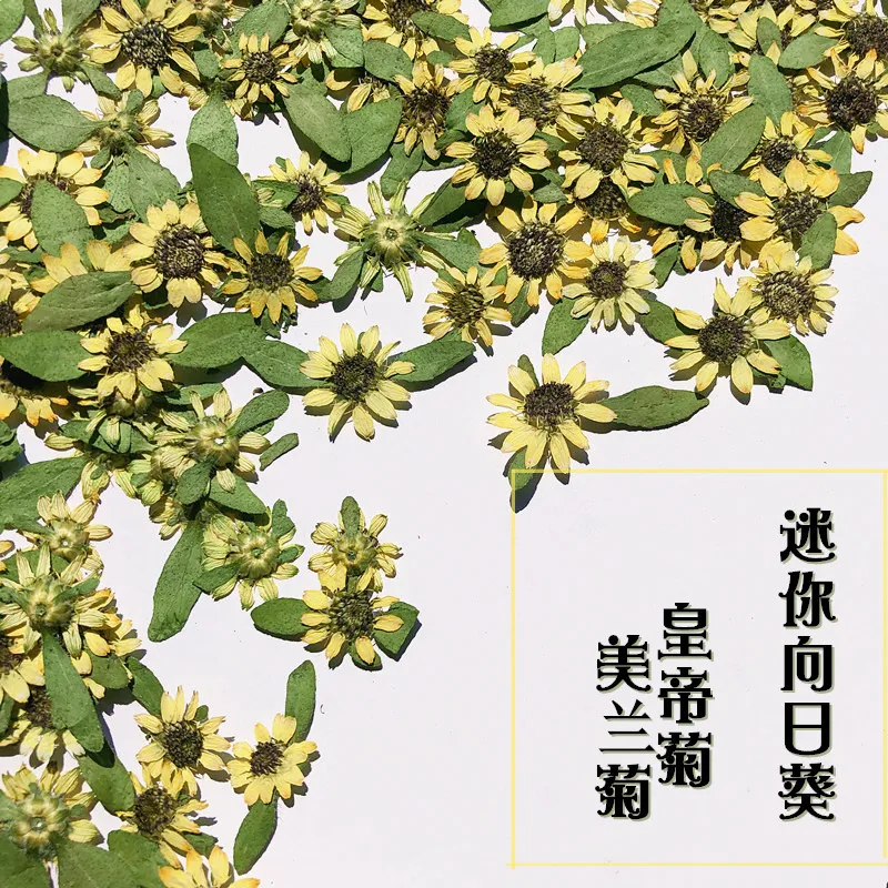 Мини цветы подсолнуха для смолы натуральный сушеный цветок изготовления