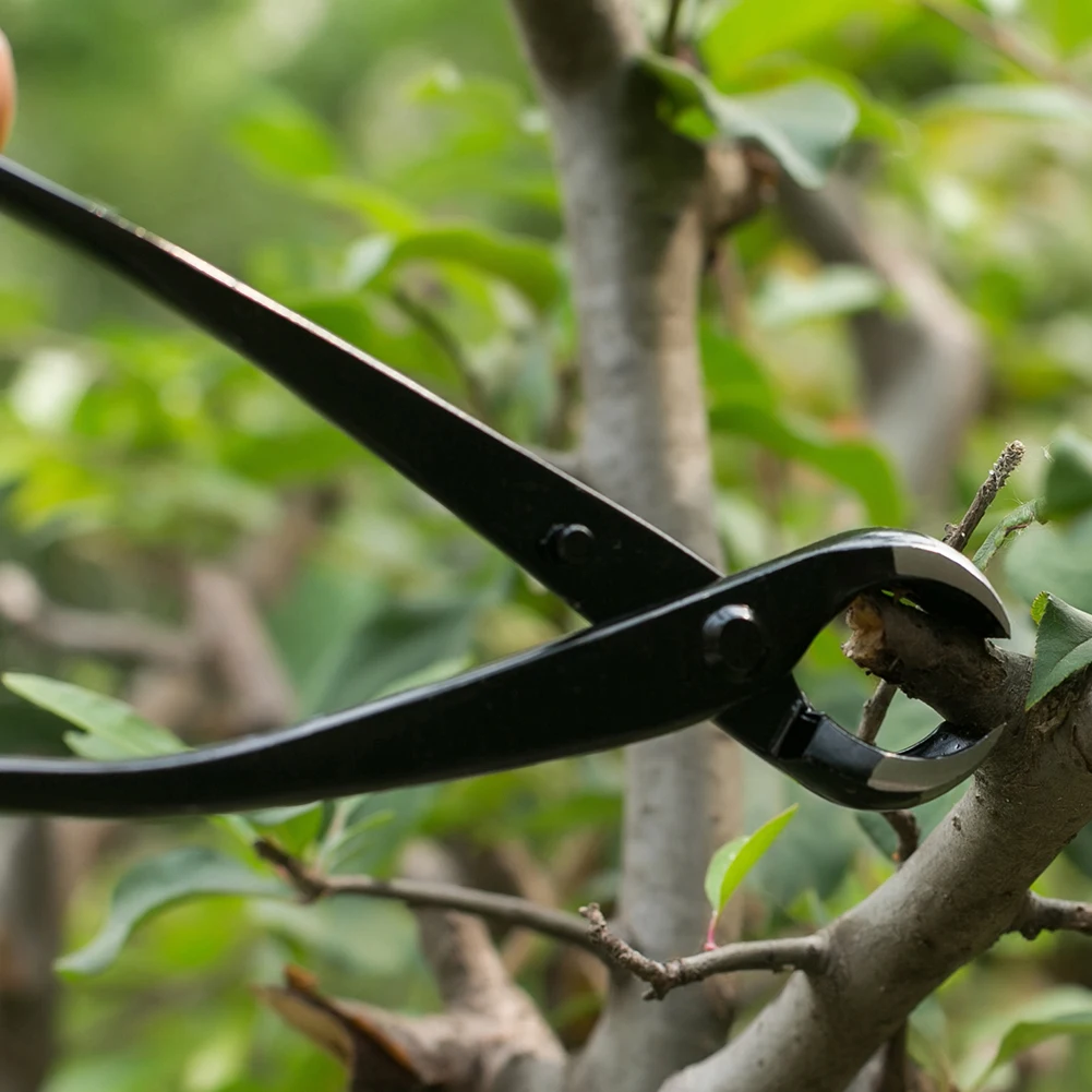 

Professional Plant Branch Cutter Round Edge Bonsai Tree Pruning Pliers Garden Alloy Tree Branch Knob Pruning Tools