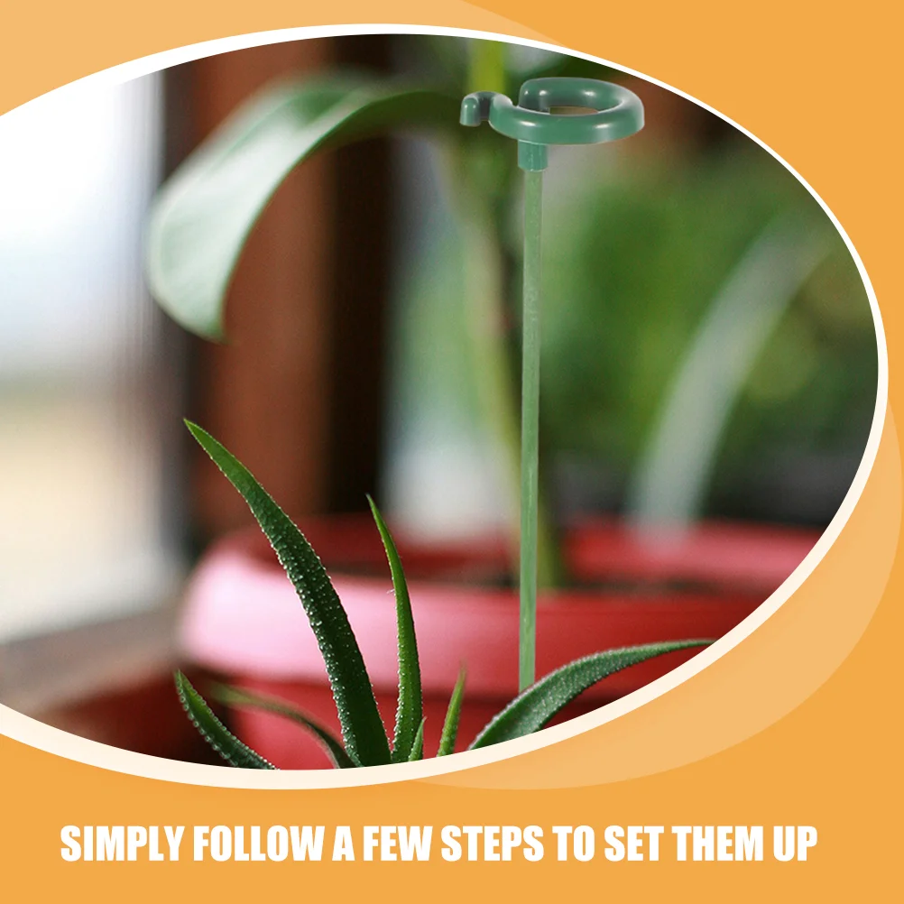 Сочные подставки для фаленопсиса колья комнатных цветов бабочек орхидей