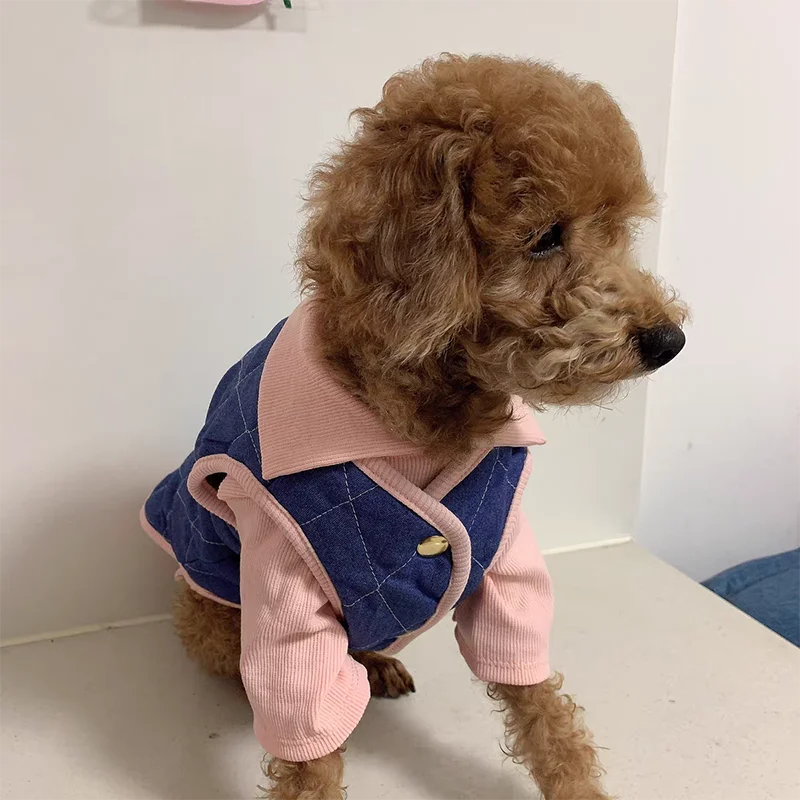 Одежда для собак роскошный модный зимний костюм щенка футболка + жилет маленьких