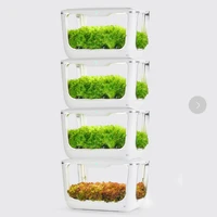 home grow box vertical grow rack trays grow plastic hydroponic grow trays for indoor smart garden