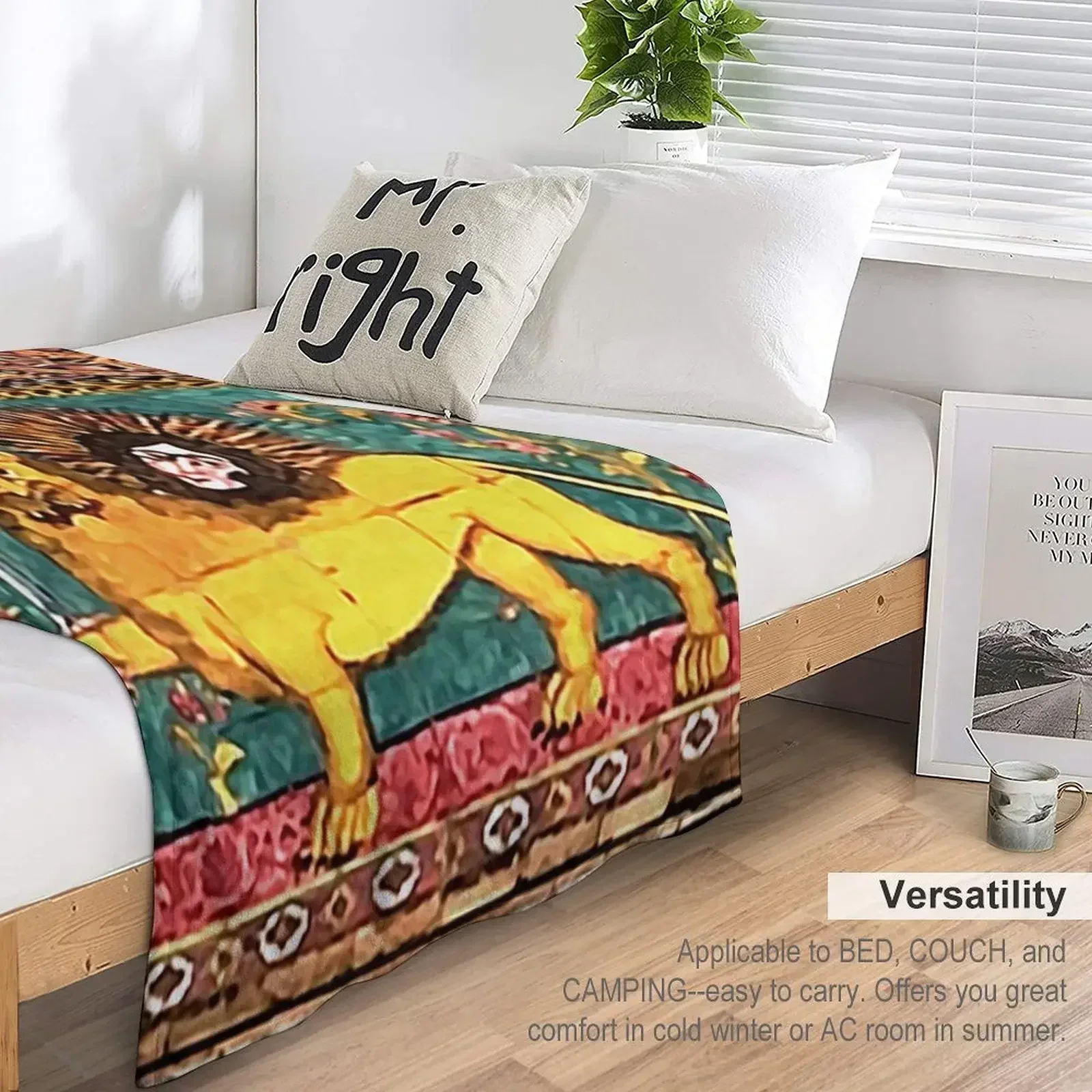 Shir o Khorshid Гольстанский дворец Тегеран Иран пледы украшения для детей теплые