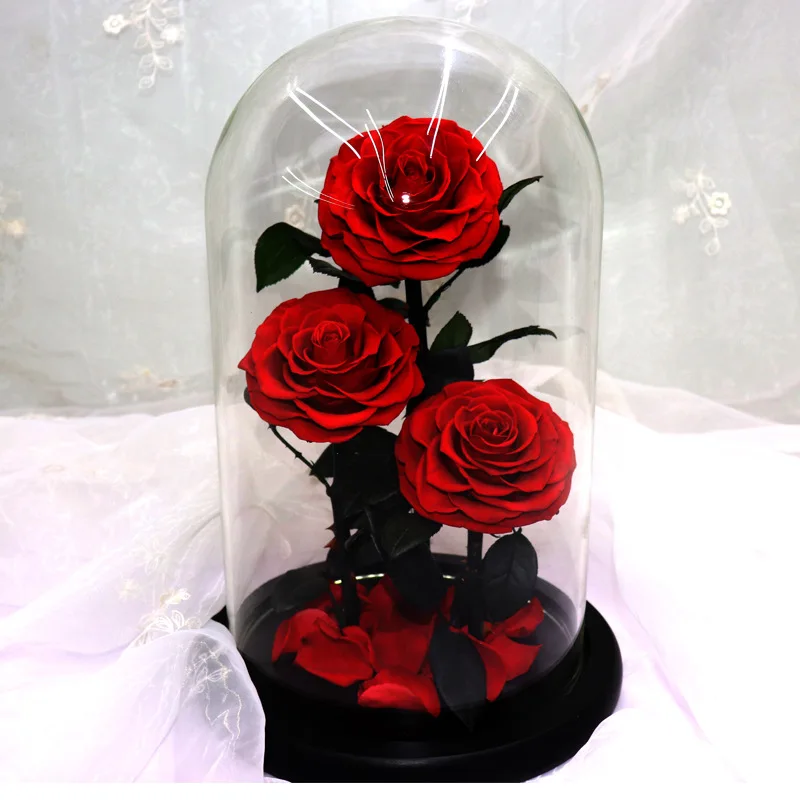 

Eternal Preserved Roses In Glass Dome 5 Flower Heads Rose Forever Love Wedding Favor Valentine Mothers Day Gifts for Women