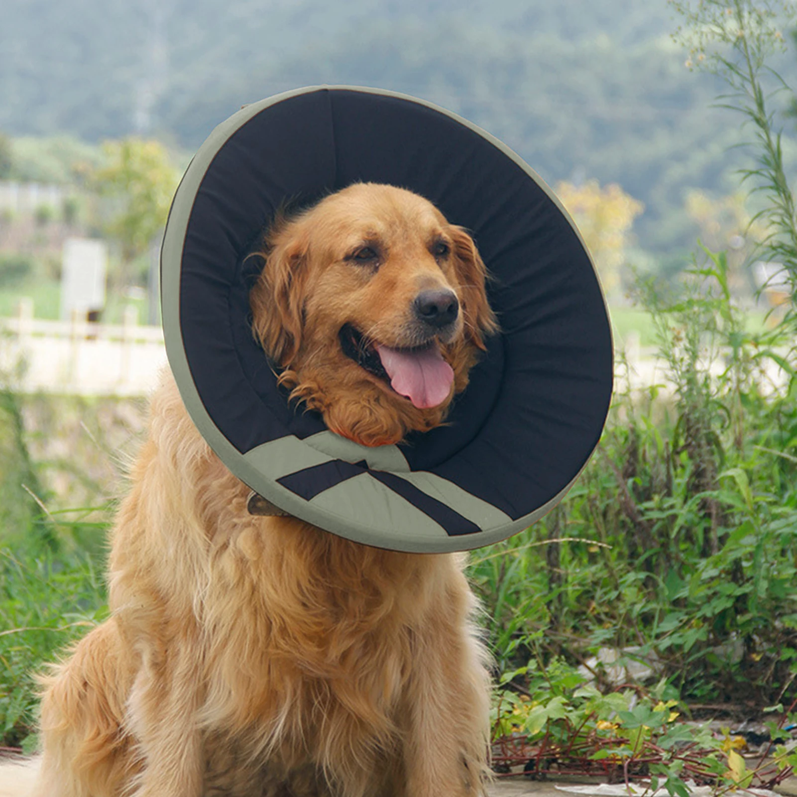 

Anti-lick Anti-bite Cat Dog Health Pet Supplies Wound Healing Elizabethan Collar Neck Cone Recovery Dog Collar Protection Cover
