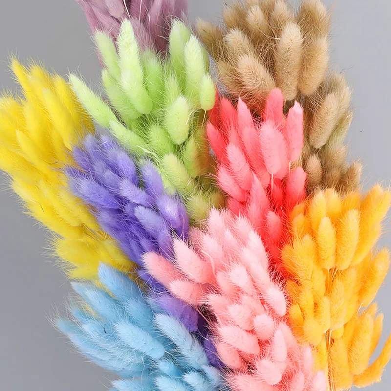 

Artificial Flower Decoration Natural Dried Flowers Bunny Tail Pampas Reed Dried Bouquet Wedding Party Decoration Plants
