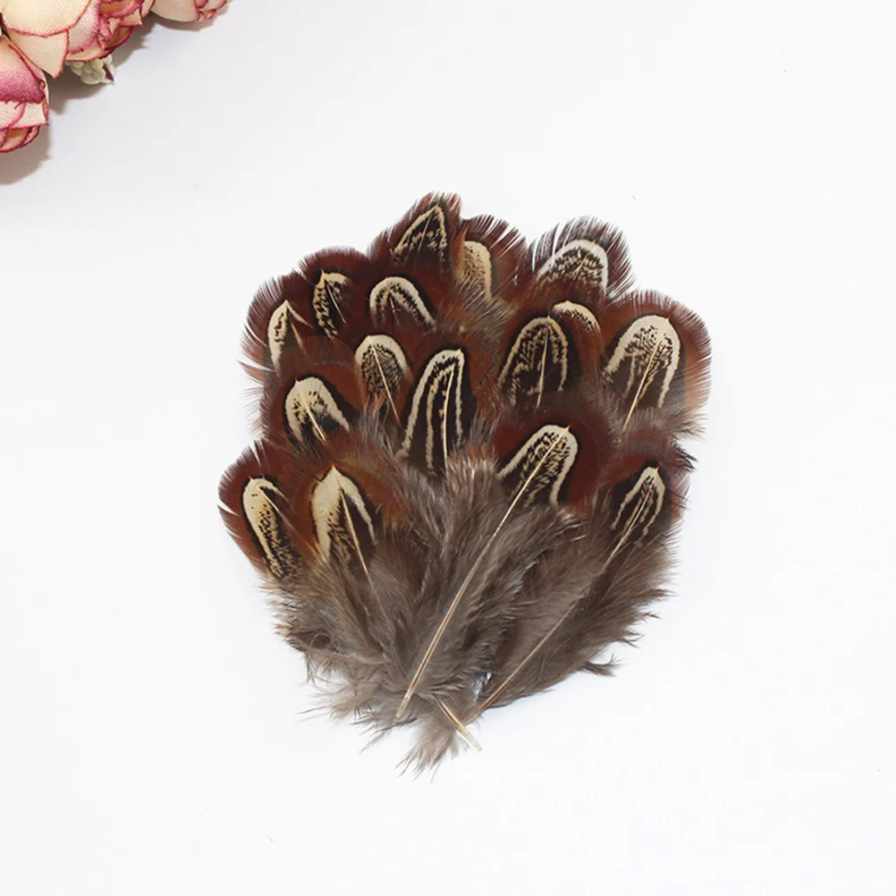 

100PCS Pheasant Dacang Natural DIY Accessories Decoration Making Materials 4-8CM