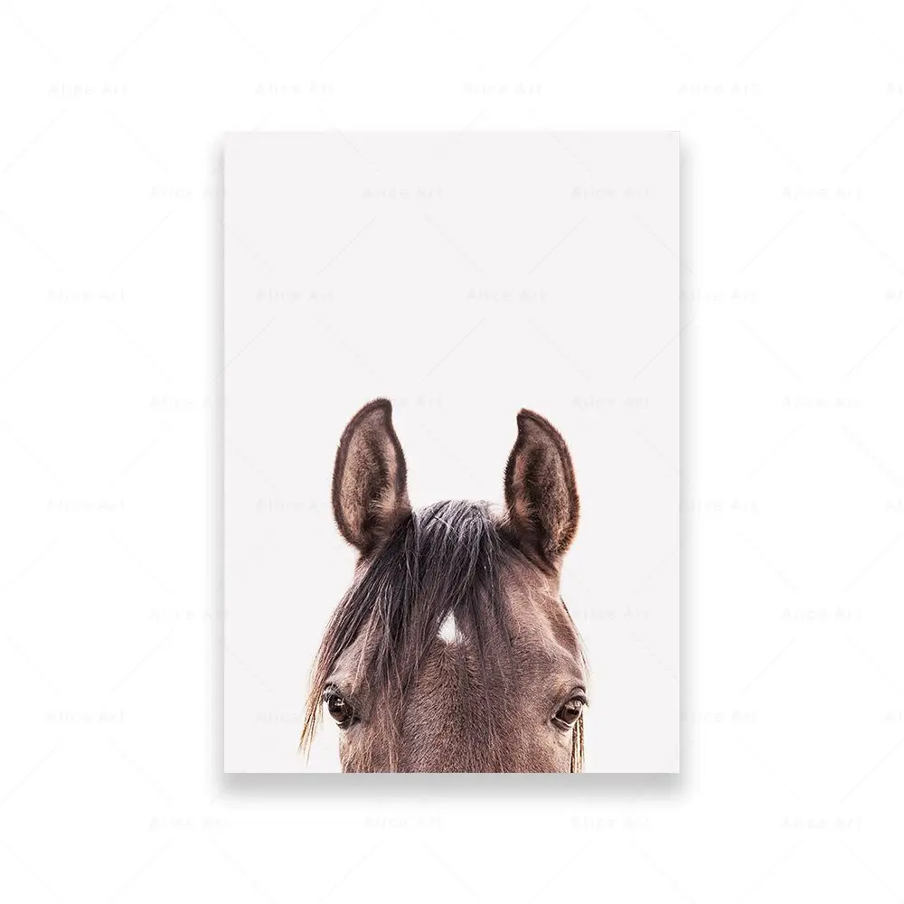 Настенная картина лошадь канвас картина для раскрашивания по номерам лошадь 40x50см арт 06630