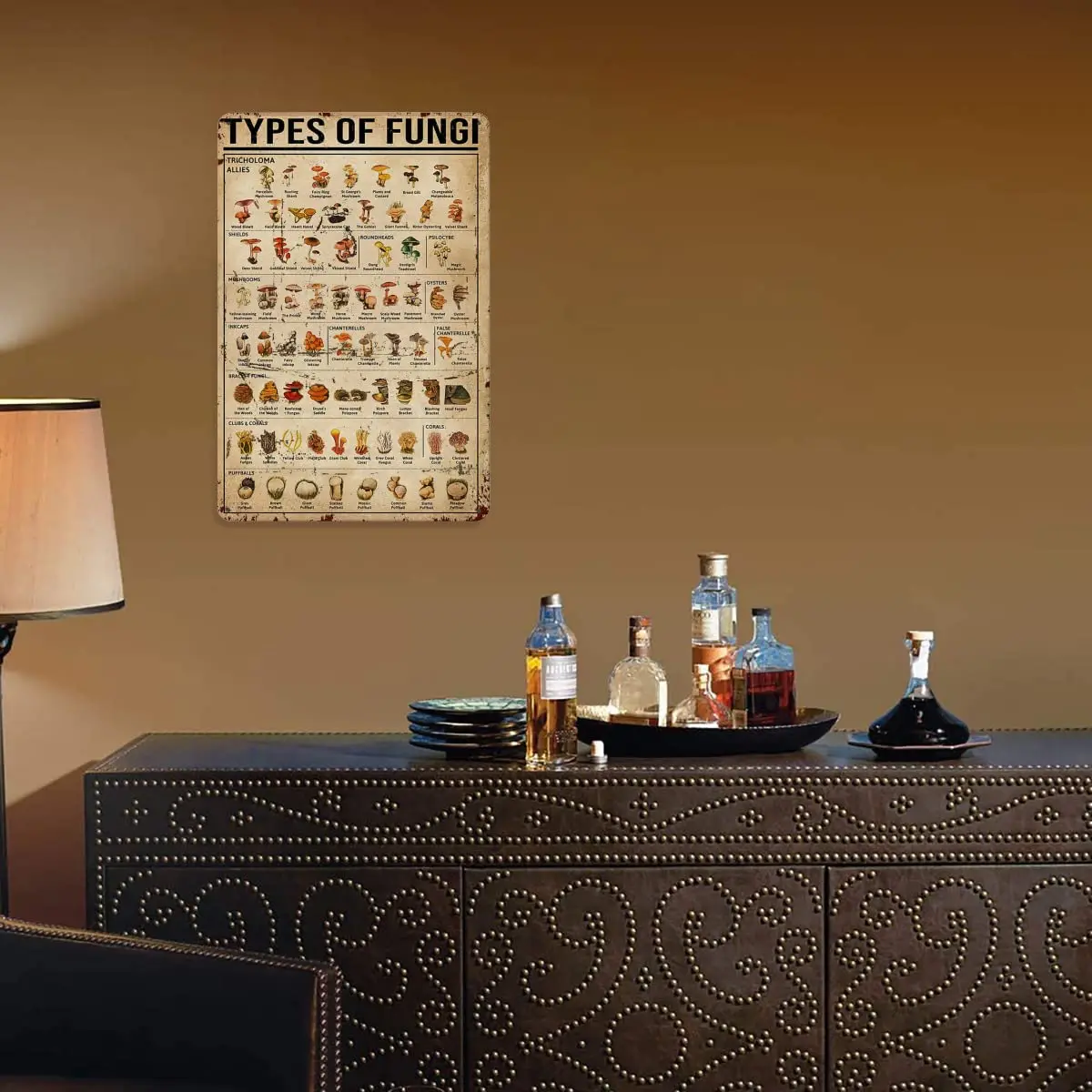 Dectinsign металлические жестяные знаки декор для стен в виде грибов знания о грибах