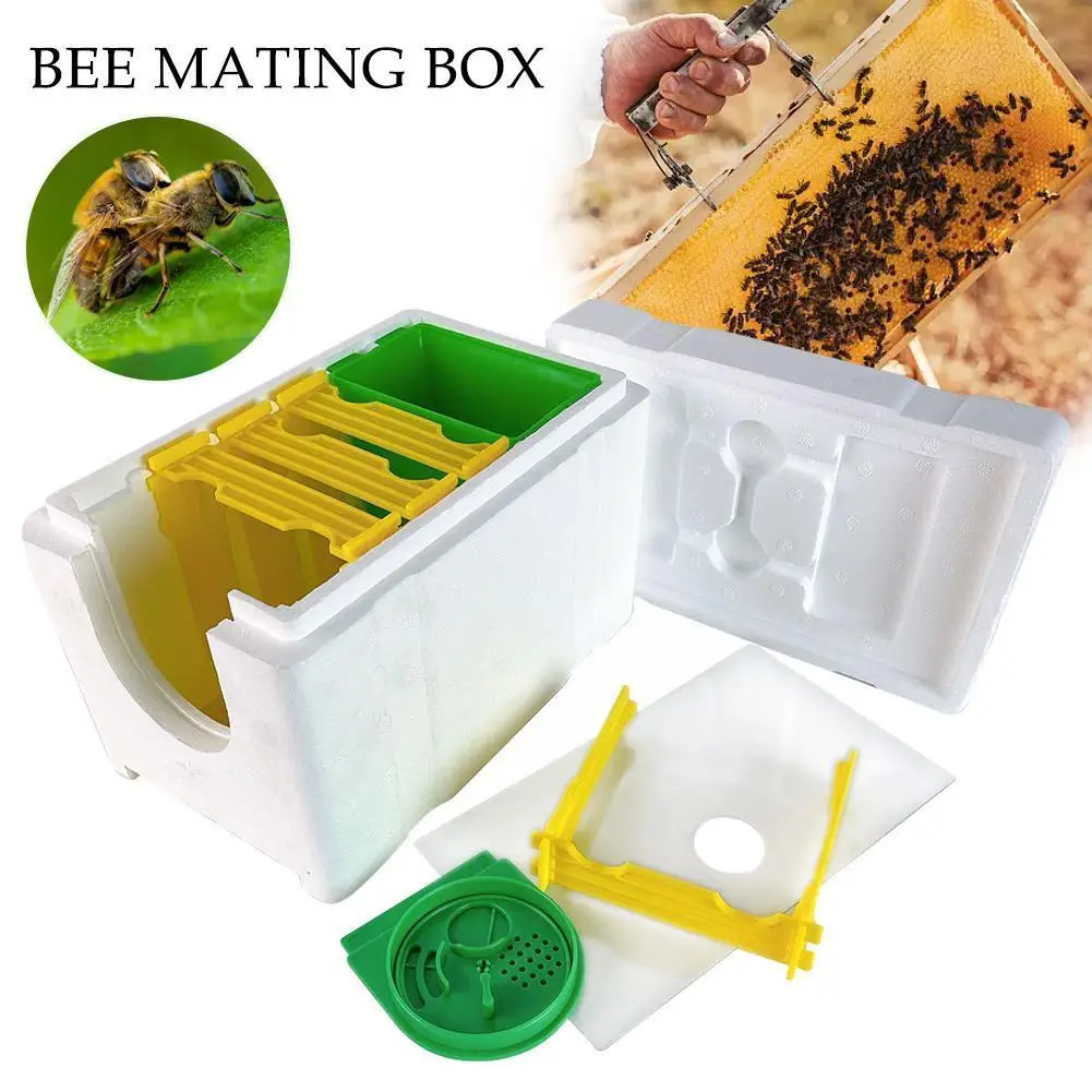 

New Model Mini Nucs Wholesale Complete Mini Mating Beekeeping Frames Removable Feeder Pollination Box Plastic Beehive With H4L1