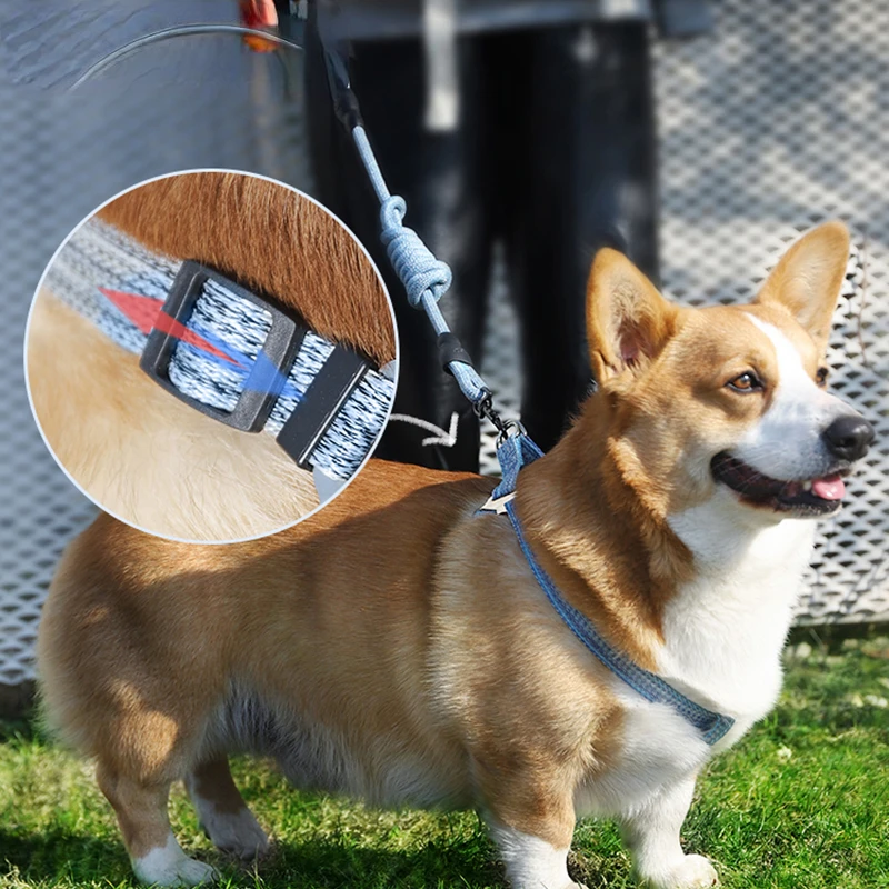

Веревка-жилет для собак, Тэдди-веревка для прогулок с маленькими собаками, взрывозащищенный нагрудный ремень для домашних животных, аксесс...