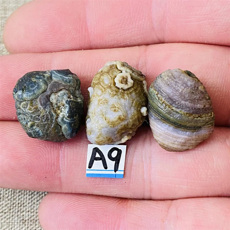 

Натуральный агат Alxa для феншуй