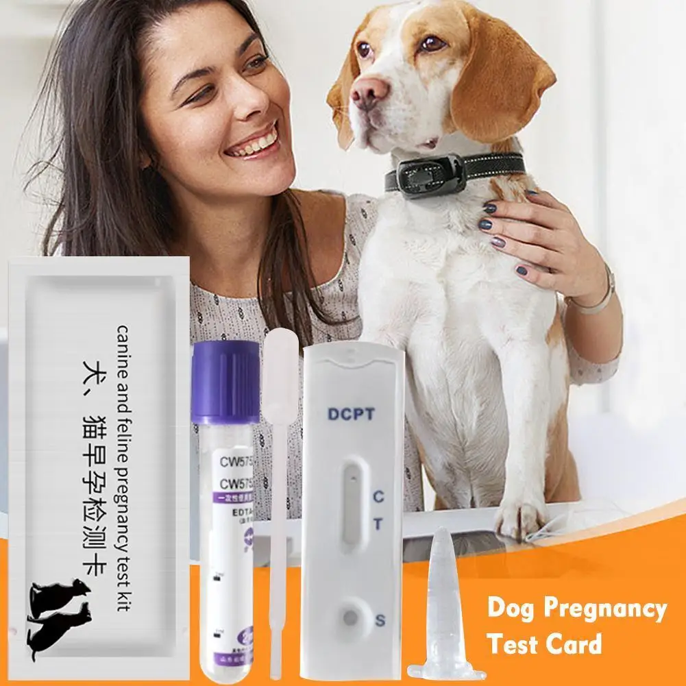 

Dog Pregnancy Test Strip Dog Pregnancy Test Card Canine Pregnancy Strips Veterinary Supplies Early Pregnancy Test Test B2j6
