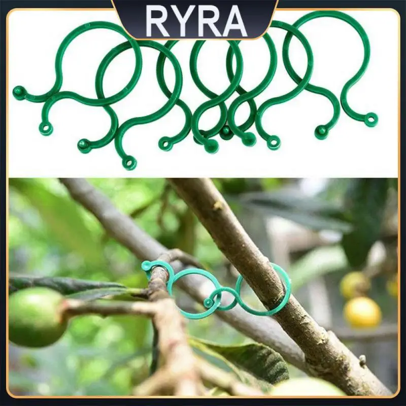 

Fixed Garden Vine Strapping Clips Wall Self-adhesive Fixture Vine Buckle Hook Plastic Plant Wall Climbing Vine Clips Garden Hot