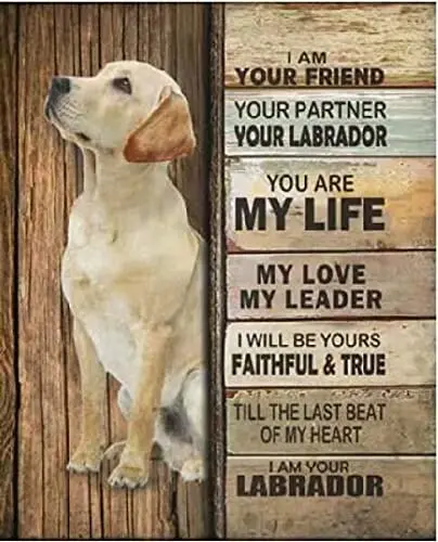 

Dog Metal Poster I Am Your Friend I Am Your Labrador Tin Signs Cafe Living Room Bathroom Kitchen Home Art Wall Decor tin sign