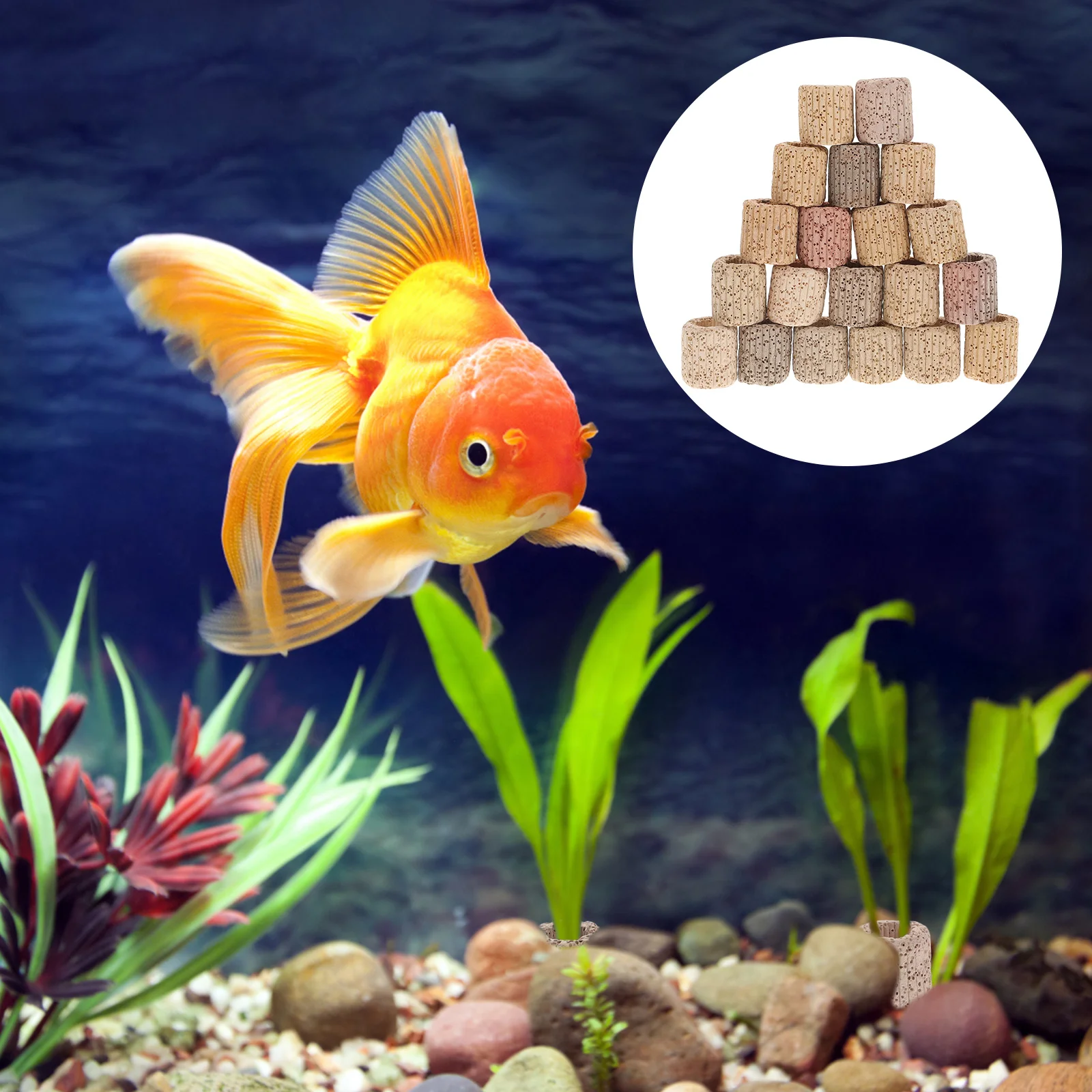 

Fixed Ring Aquarium Watertank Holdertool Aquatic Pot Ceramic Live Cultivationweights Decorations Gravity Accessories Ringscup