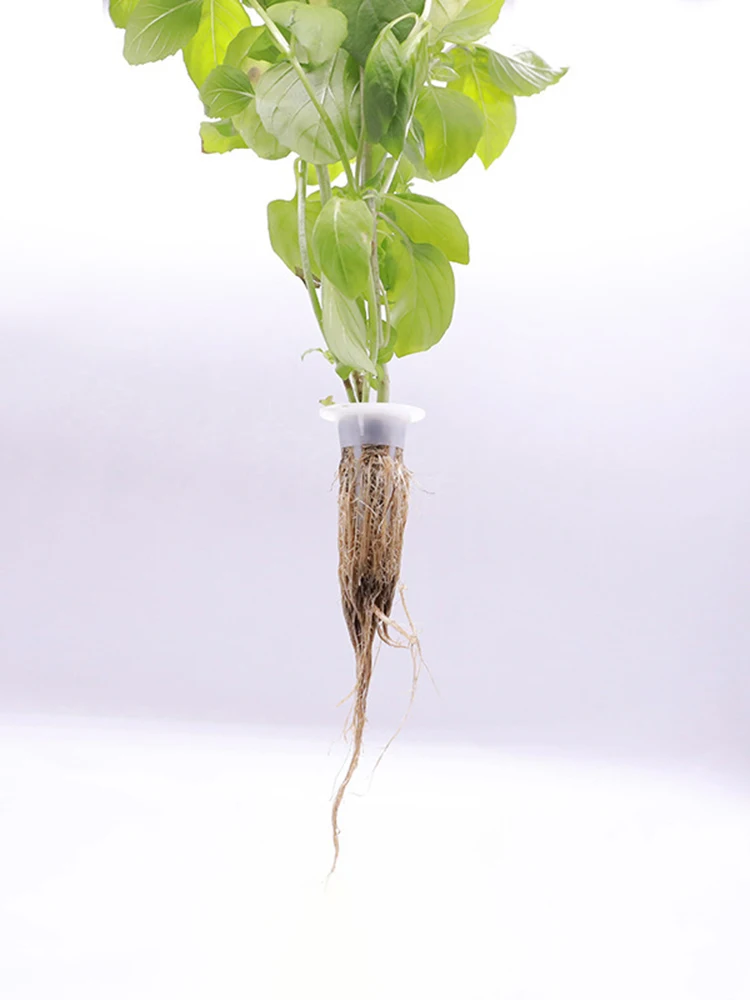 50 шт. губки для выращивания растений из хлопка