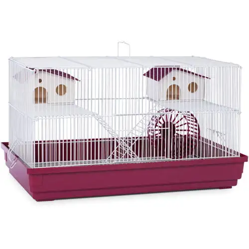 

Hamster & Gerbil Cage