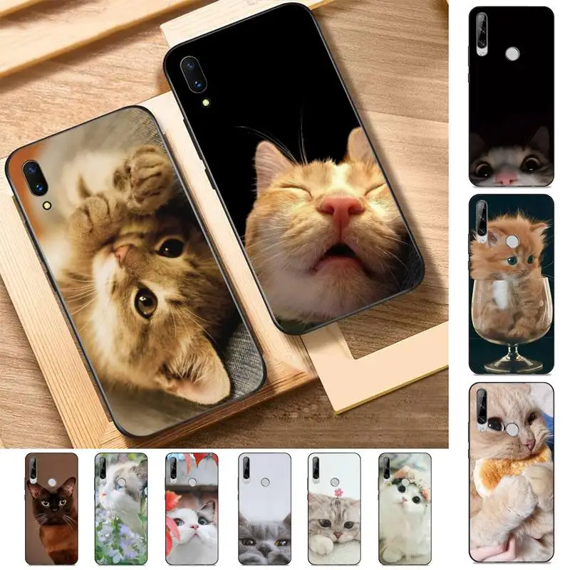 

Funny Cute Cat Phone Case for Huawei Y 6 9 7 5 8s prime 2019 2018 enjoy 7 plus