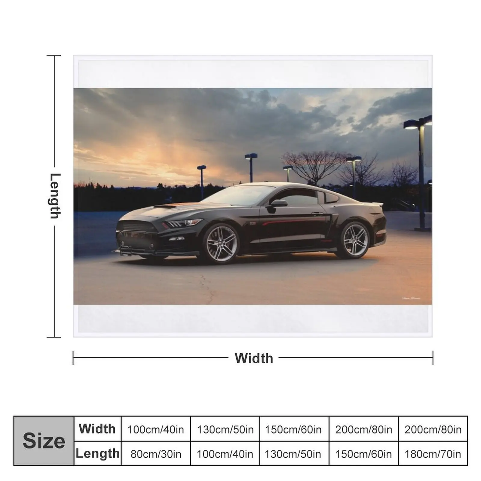 Одеяло Roush Mustang Stage 2 ' тонкое рождественское одеяло для дивана 2017