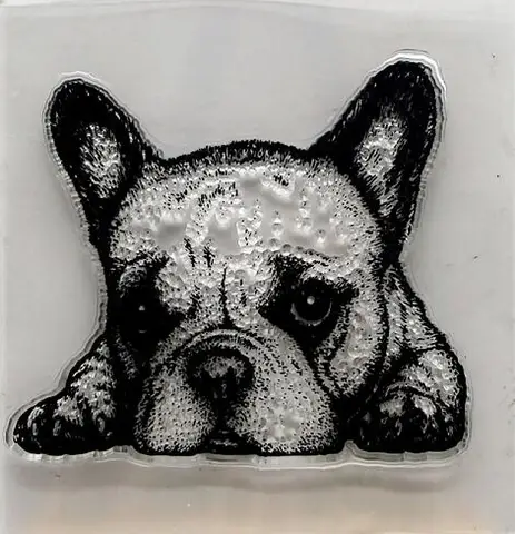 Прозрачный штамп с котом, собакой, коровой, штамп для резки/печать для «сделай сам», Скрапбукинг/декоративные прозрачные штампы для альбомов C599