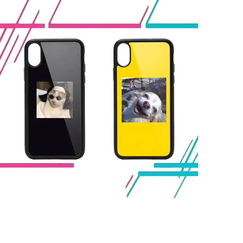 

funny cat dog aesthetics Phone Case PC for iPhone 11 12 13 pro XS MAX 8 7 6 6S Plus X XR Luxury shell funda